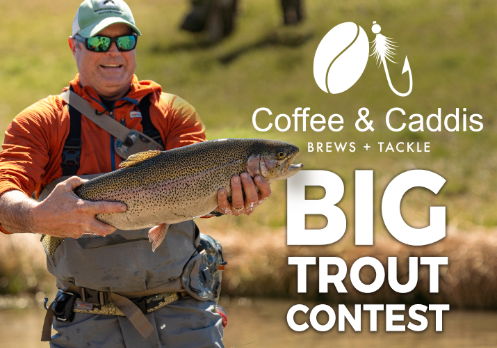 Big Trout Contest